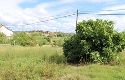 Pombal, Leiria District
