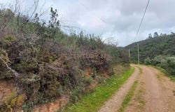 Marmelete, Algarve