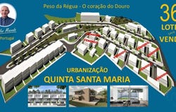Vila Real, Vila Real District
