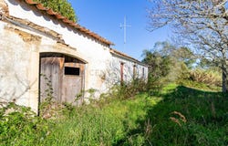 Rua da Escola, Cela, Leiria District 2460-358