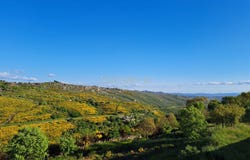 Aldeia do Bispo, Guarda District