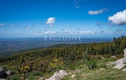 Monchique, Algarve 8550