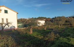 Cabeçudo, Sertã, Castelo Branco District 6100