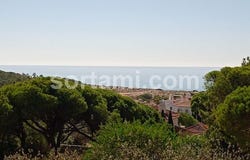 Loule, Faro