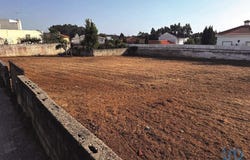 Cortegaça, Aveiro Municipality 3885