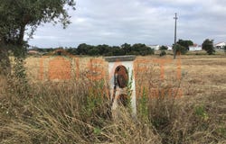 Paialvo, Santarém District