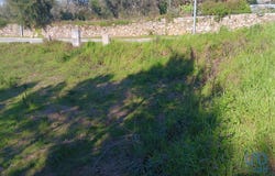 Leiria, Leiria District