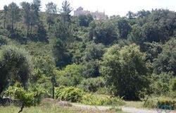 Tomar, Santarém 2300-570