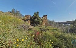 Sertã, Castelo Branco 6100-841