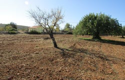 São Brás de Alportel, Algarve