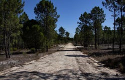 GRÂNDOLA, Setubal