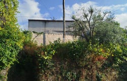 Mangualde, Viseu District