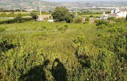 Arruda dos Vinhos, Lisbon
