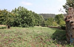 Estarreja, Aveiro 3865-305