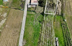 Anadia, Aveiro District