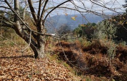 Sever do Vouga, Aveiro District