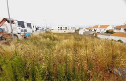 Leiria, Leiria District
