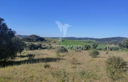 Monsanto, Alcanena, Santarém District