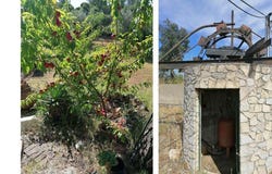 Estrada Larga, Serra, Santarém District 2300-251