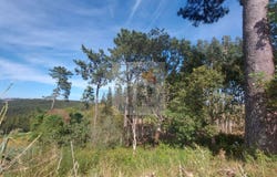 Caldas da Rainha, Leiria District