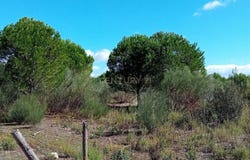 Castelo Branco, Castelo Branco District