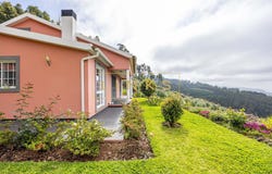 Canhas, Madeira 9360