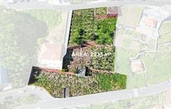 Ilha da Madeira, Madeira