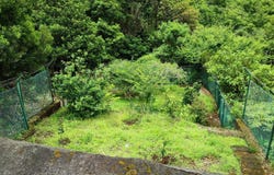 SEIXAL PMZ, Madeira