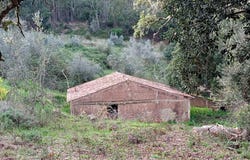 Monchique, Algarve