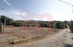 Barcelos, Braga