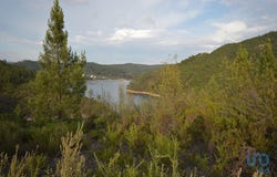 Sertã, Castelo Branco 6100