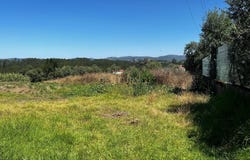 Calvaria de Cima, Leiria District