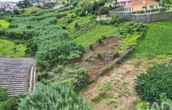 Ilha da Madeira, Madeira