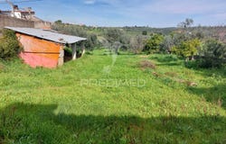Madalena e Beselga, Tomar, Santarém District 2305