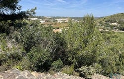 Vila do Bispo, Faro 8650-196