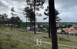 Comporta, Setúbal 7580