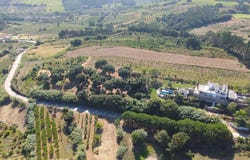 Roliça, Leiria District