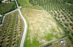 Beja, Beja District 7860-001