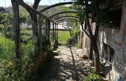 Leiria, Leiria District