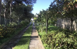 Cascais, Lisbon
