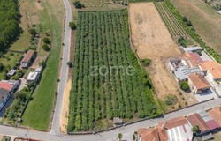 Anadia, Aveiro District