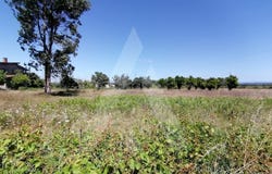 Cacia, Aveiro District