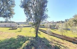 Sertã, Castelo Branco 6100-100