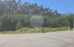 Fornelos e Queijada, Viana Do Castelo 4990