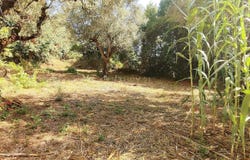 Antuzede e Vil de Matos, Coimbra District