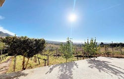 Vila Real, Vila Real District