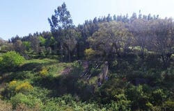 Monchique, Faro