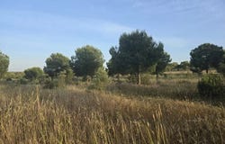Ourique, Beja District 7670