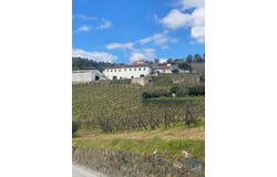Peso da Régua, Vila Real 5050-022