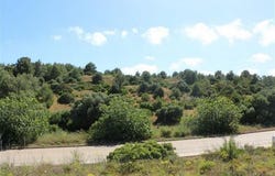 Vila Do Bispo, Algarve 8650-041
